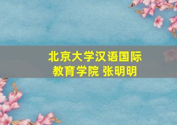 北京大学汉语国际教育学院 张明明